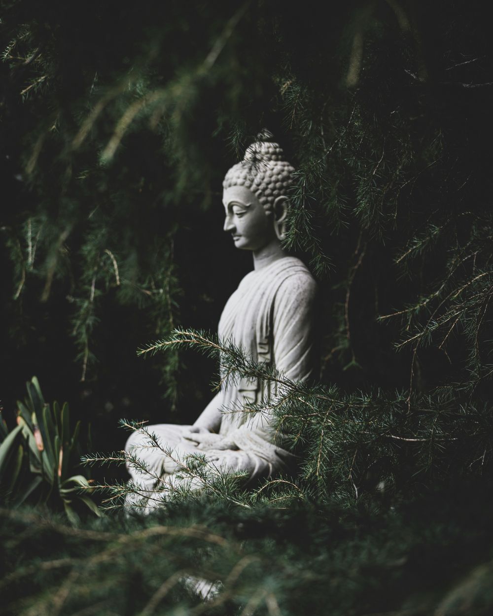 Escultura de un Buda en meditación, en medio del bosque